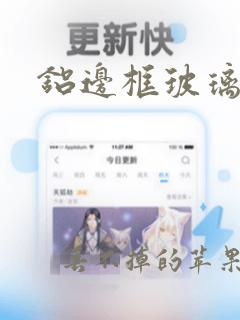 铝边框玻璃门