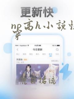 np高h小说快穿