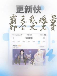 霸天武魂最新章节全文免费阅读