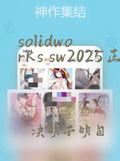 solidworks sw2025正版