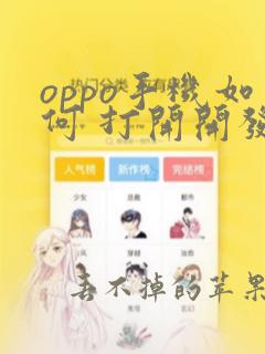 oppo手机如何 打开开发者选项