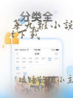 华九难小说txt下载