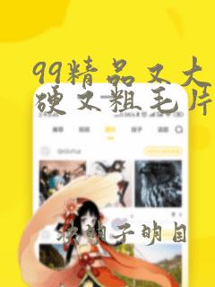 99精品又大又硬又粗毛片