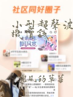 小型超声波清洗机价钱