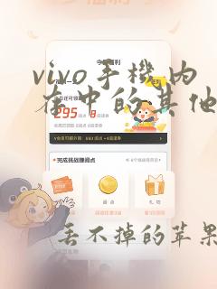 vivo手机内存中的其他怎么清理