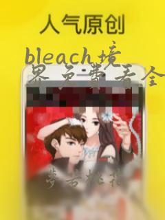 bleach境界免费看全集