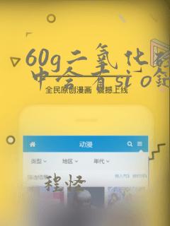 60g二氧化硅中含有si o键数为