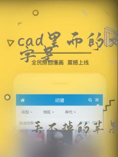 cad里面的文字是