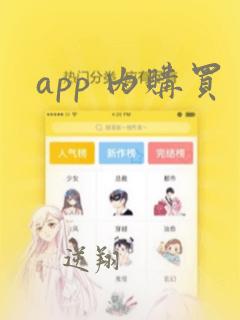 app 内购买