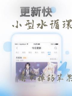 小型水循环系统