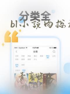 bl小说肉总裁