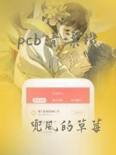 pcb清洁机