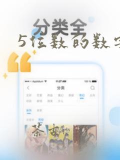 5位数的数字