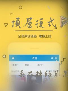 顶层复式户型图