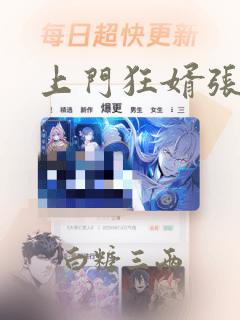 上门狂婿张玄版