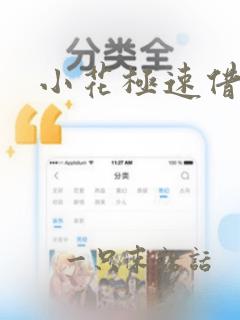 小花极速借款