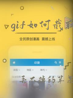 gif如何截取