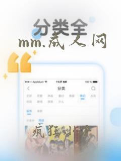 mm.成人网