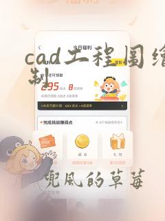 cad工程图绘制