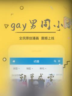 gay男同小说