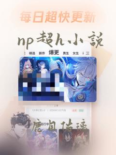 np超h小说