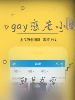 gay恋老小说