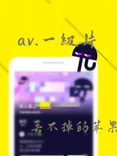 av.一级片