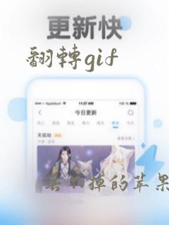 翻转gif