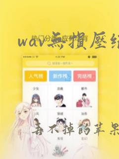 wav无损压缩