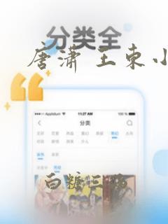 唐潇 王东小说