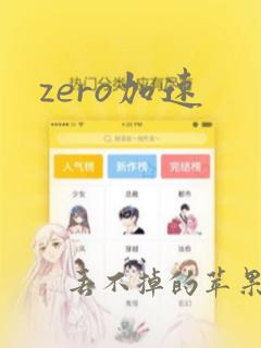 zero加速