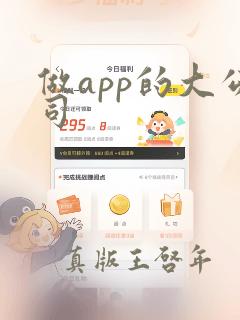 做app的大公司