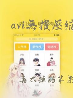 avi无损压缩