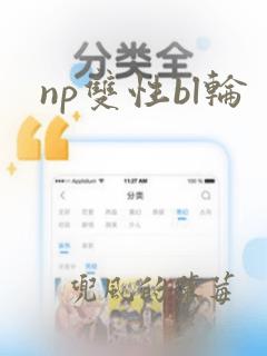 np双性bl轮