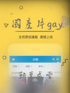 国产片gay