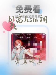 bl高hsm调教