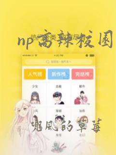 np高辣校园文