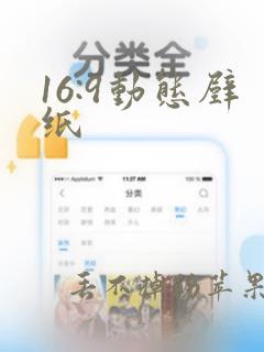 16:9动态壁纸