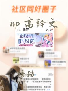 np 高干文