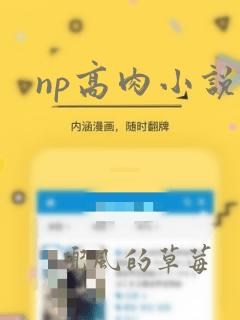 np高肉小说