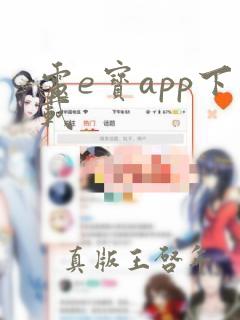 电e宝app下载