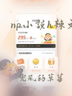 np小说h辣文