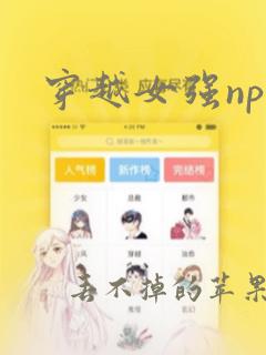 穿越女强np文