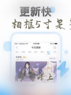 相框5寸是多大