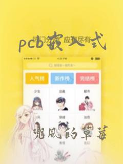 pcb嵌入式