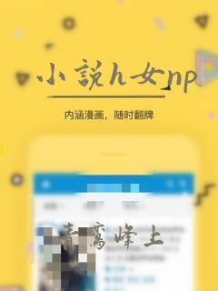 小说h女np