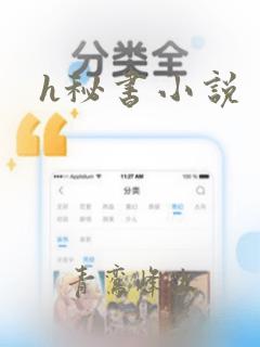 h秘书小说