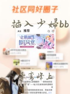 插入少妇bb