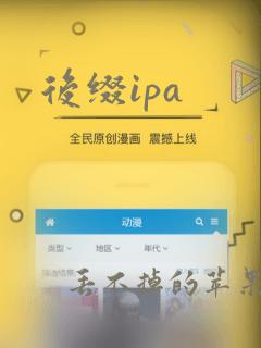 后缀ipa