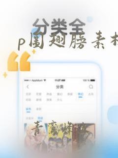 p图翅膀素材